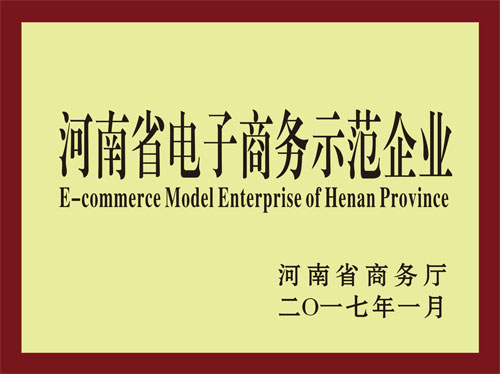 河南省電子商務示范企業